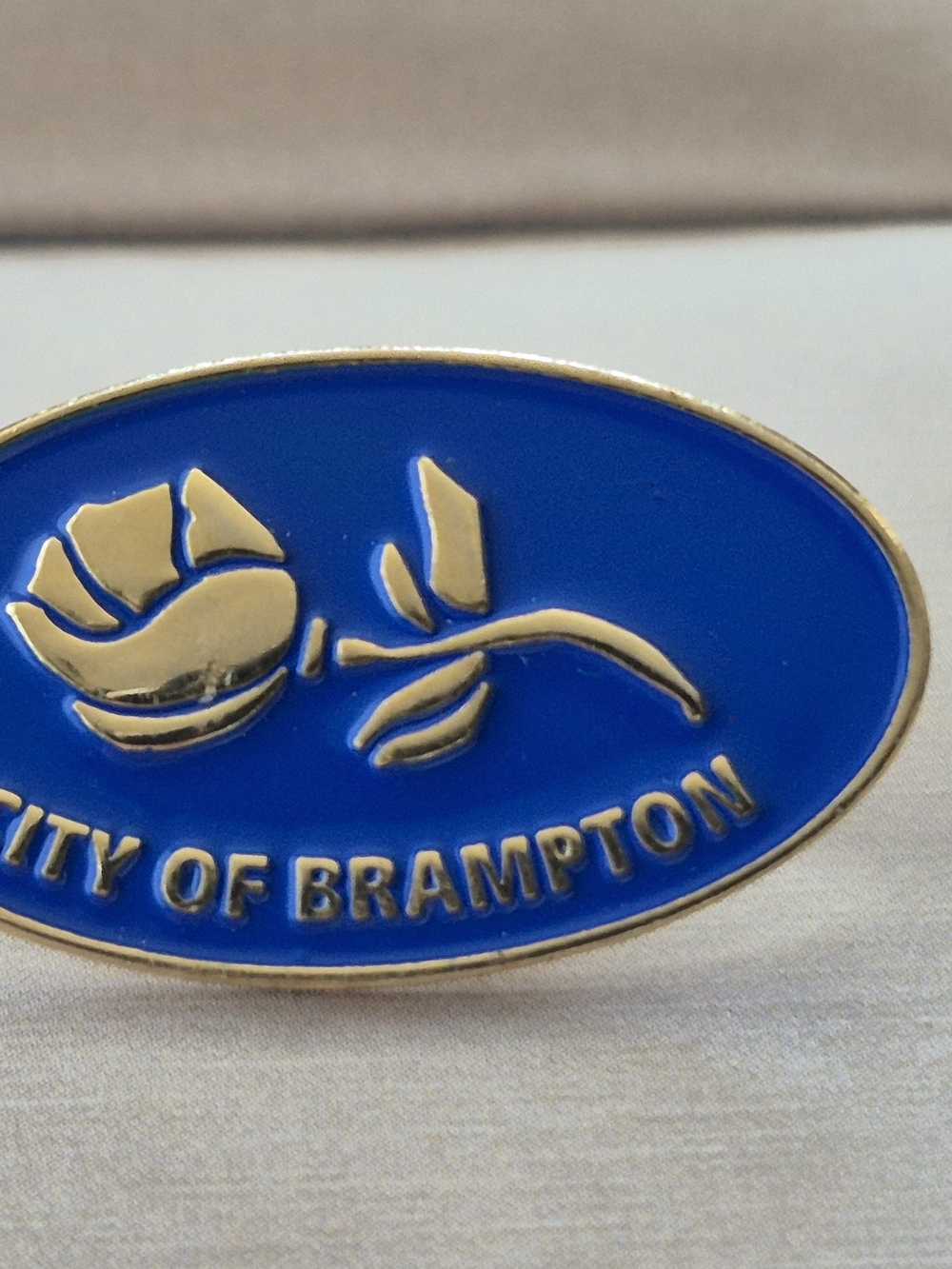 City of Brampton Blue & Gold Enamel Lapel Pin - Picture 3 of 3